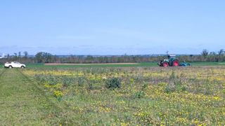 « Je retourne ma jachère pour implanter du tournesol » « Je retourne ma jachère pour implanter du tournesol »