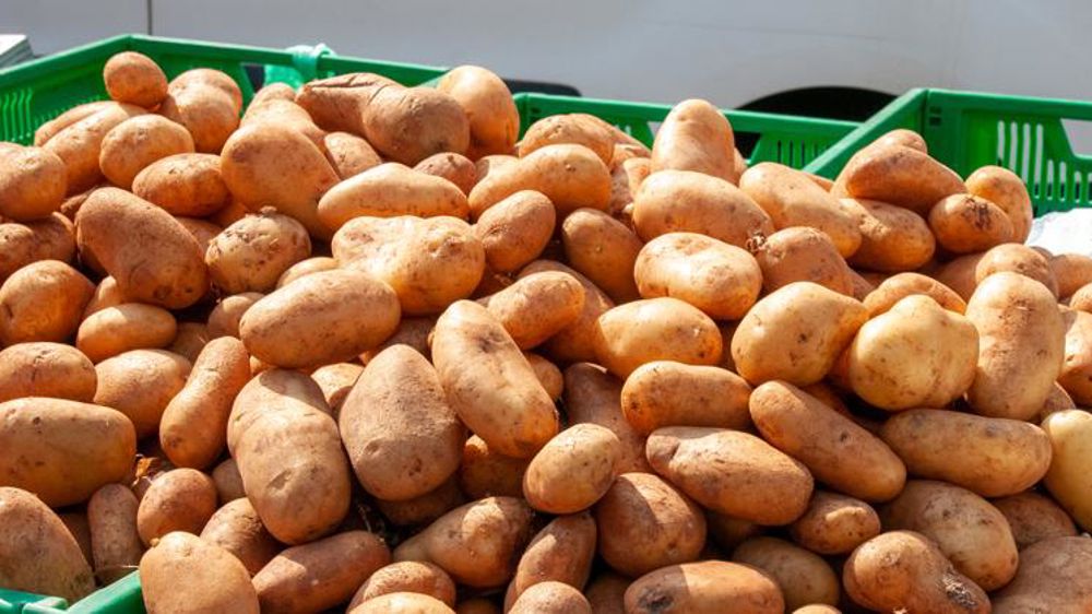 Les grèves et la météo plombent les ventes