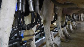 Le prix du lait bio à la loupe Le prix du lait bio à la loupe
