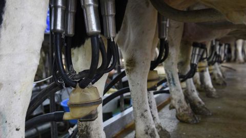 Le prix du lait bio à la loupe Le prix du lait bio à la loupe