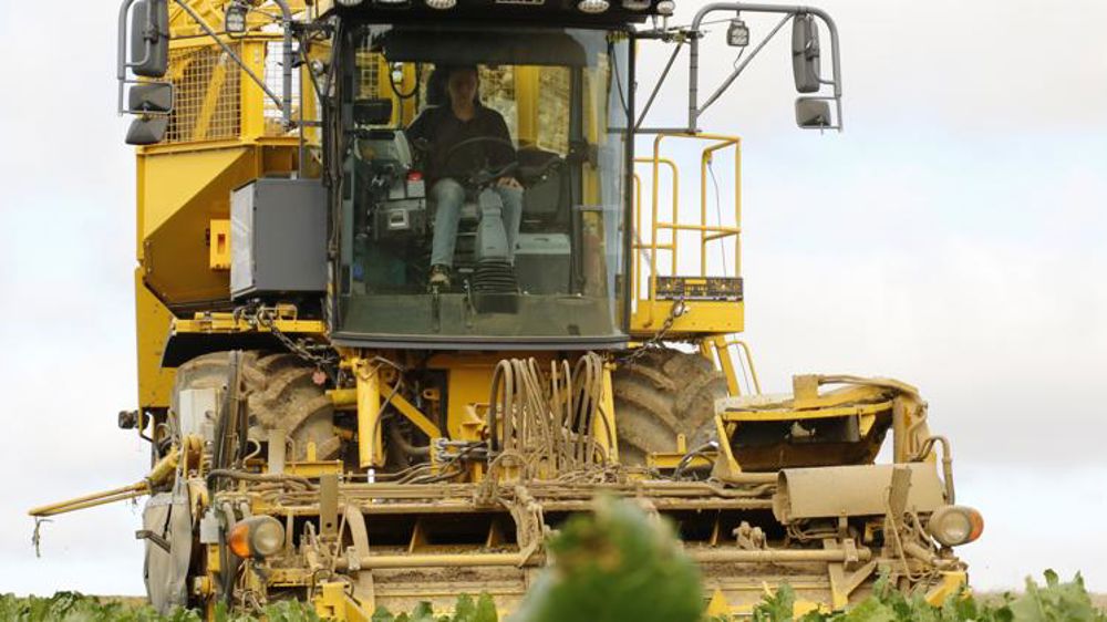 Victimes invisibles des fermetures de sucrerie
