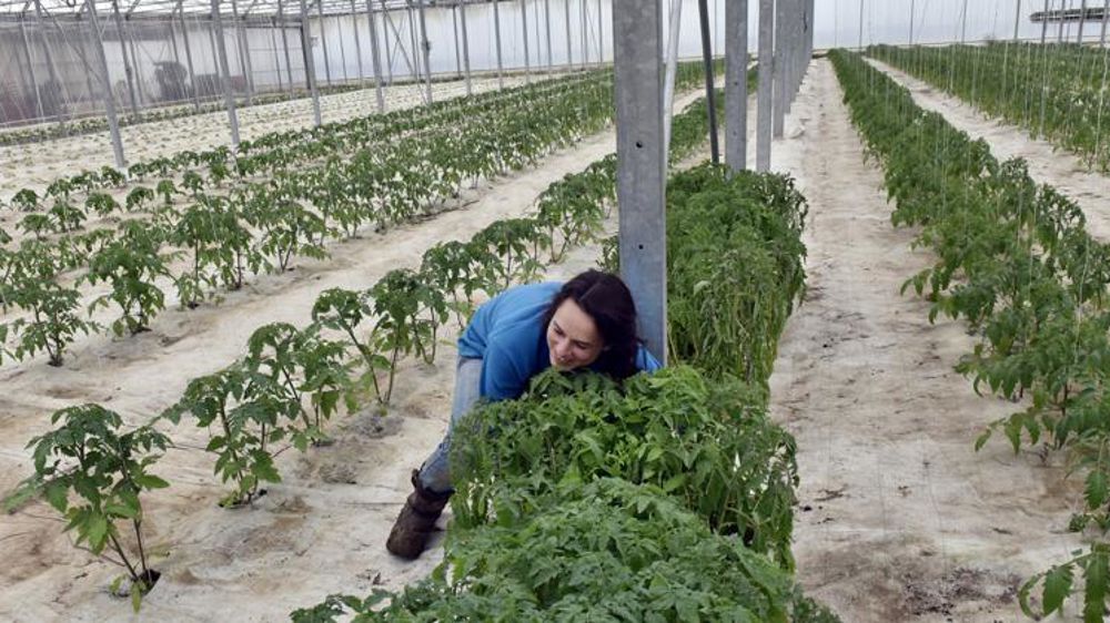 La FNSEA et JA demandent un filet de sécurité européen