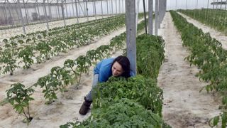 La FNSEA et JA demandent un filet de sécurité européen La FNSEA et JA demandent un filet de sécurité européen