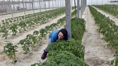 La FNSEA et JA demandent un filet de sécurité européen La FNSEA et JA demandent un filet de sécurité européen