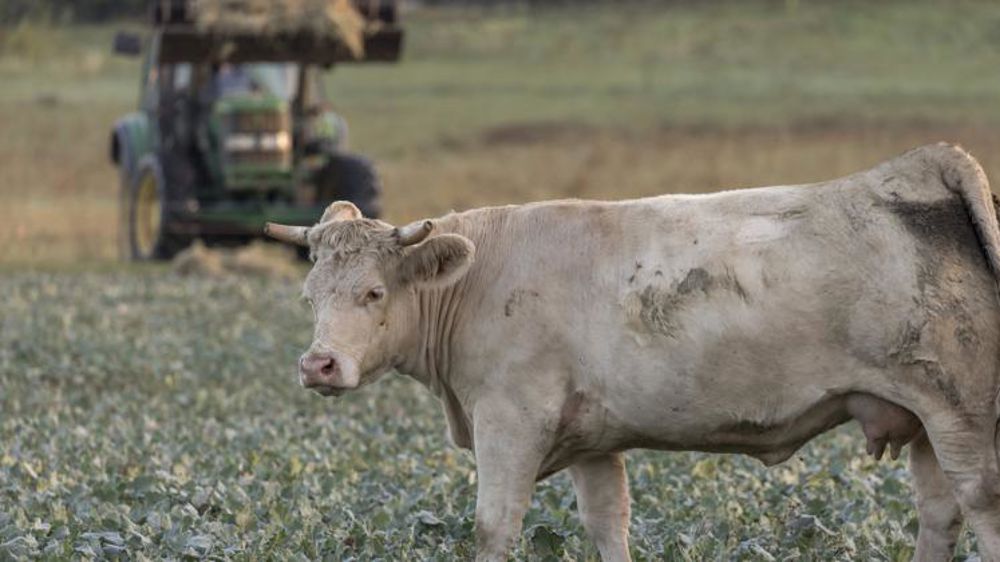 La FNSEA et la Confédération paysanne ne sont pas d’accord