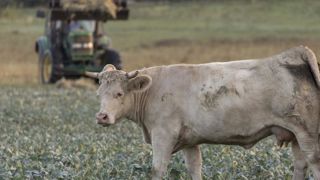 La FNSEA et la Confédération paysanne ne sont pas d’accord La FNSEA et la Confédération paysanne ne sont pas d’accord