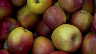 Une pub qui « dénigre » la bio de supermarchés Une pub qui « dénigre » la bio de supermarchés
