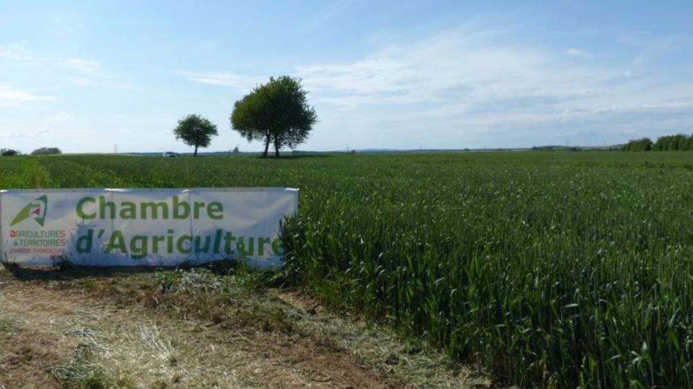 Les députés passent les chambres d’agriculture sur le gril