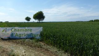 Les députés passent les chambres d’agriculture sur le gril Les députés passent les chambres d’agriculture sur le gril