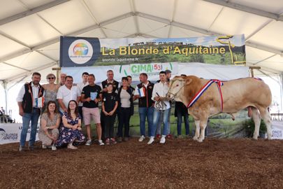Rocheteau, mâle champion espoir, a également obtenu le championnat suprême. © France Blonde d’Aquitaine Sélection