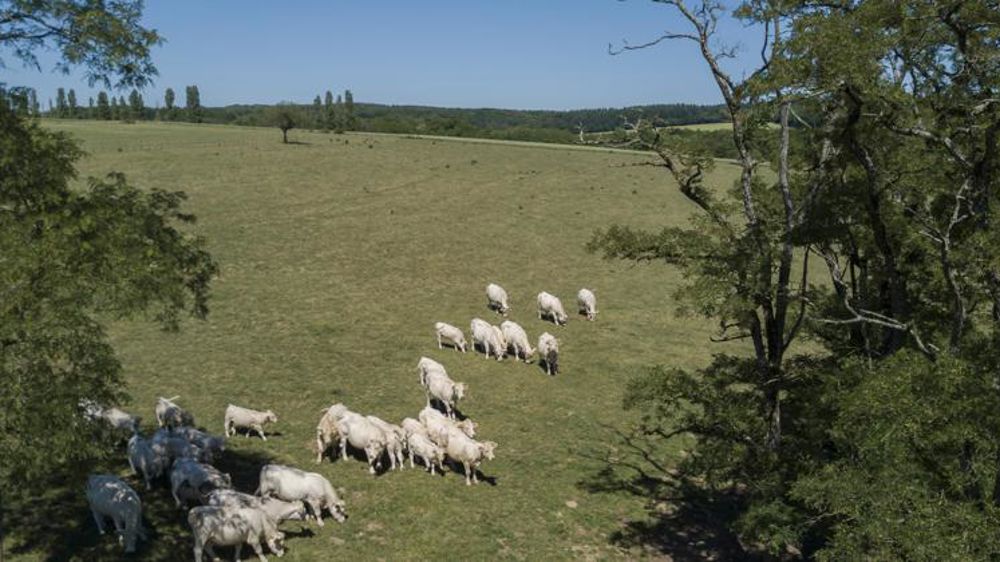Les dates limites de dépôt des pièces justificatives précisées