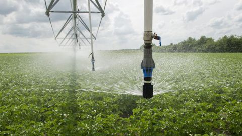 La Cour des comptes se penche sur l’irrigation La Cour des comptes se penche sur l’irrigation