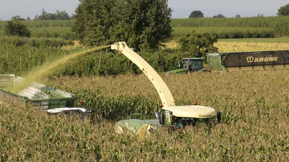 Un début de récolte dès le 21 août