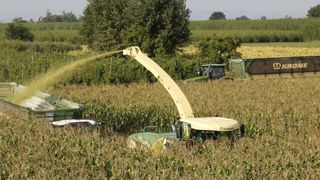 Un début de récolte dès le 21 août Un début de récolte dès le 21 août