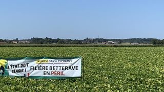 « Jamais je n’abandonnerai la filière betteraves » « Jamais je n’abandonnerai la filière betteraves »