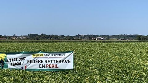 « Jamais je n’abandonnerai la filière betteraves » « Jamais je n’abandonnerai la filière betteraves »