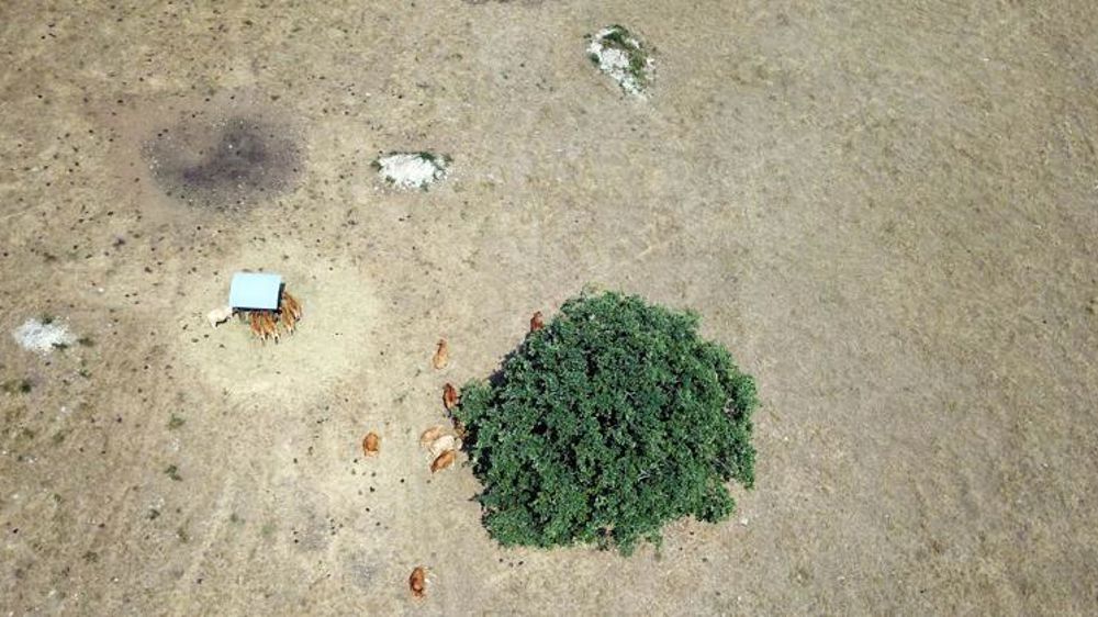 Quasi-absence de précipitations en juillet