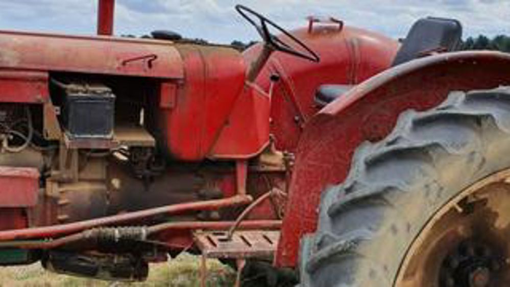 Les ensilages de maïs et semis de colza se poursuivent