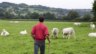 Que doit-on attendre du plan de relance pour l’agriculture ? Que doit-on attendre du plan de relance pour l’agriculture ?