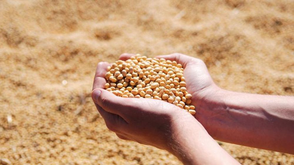 Trois entreprises unies contre la dépendance protéique