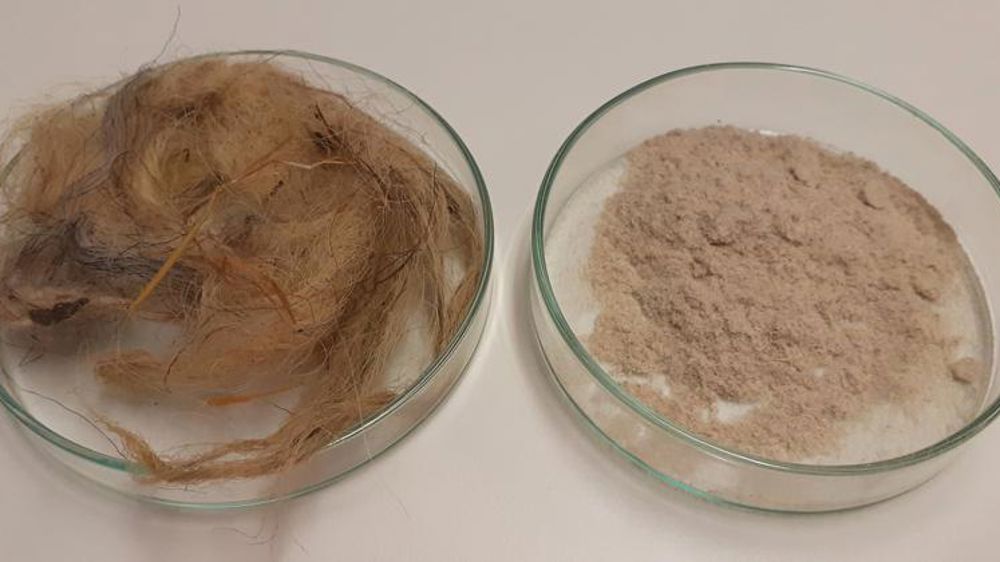 Des pistes pour valoriser la laine