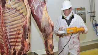 « Les à-coups de la crise ont été difficiles à encaisser » « Les à-coups de la crise ont été difficiles à encaisser »