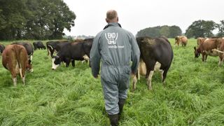 Le Modef rejette la proposition de loi sur la maltraitance animale Le Modef rejette la proposition de loi sur la maltraitance animale