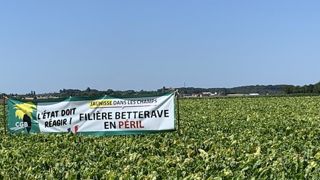 Planteurs soulagés et apiculteurs remontés Planteurs soulagés et apiculteurs remontés
