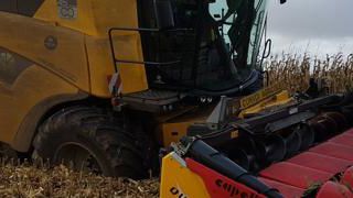 Entre semis et récolte Entre semis et récolte