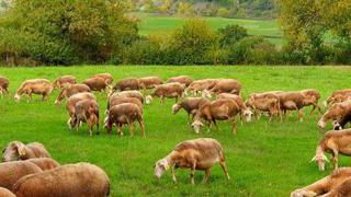Les semis d’automne commencent Les semis d’automne commencent