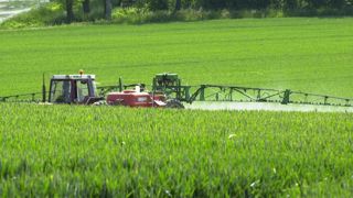 Le thiophanate-méthyl retiré du marché en 2021 Le thiophanate-méthyl retiré du marché en 2021
