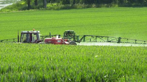 Le thiophanate-méthyl retiré du marché en 2021 Le thiophanate-méthyl retiré du marché en 2021