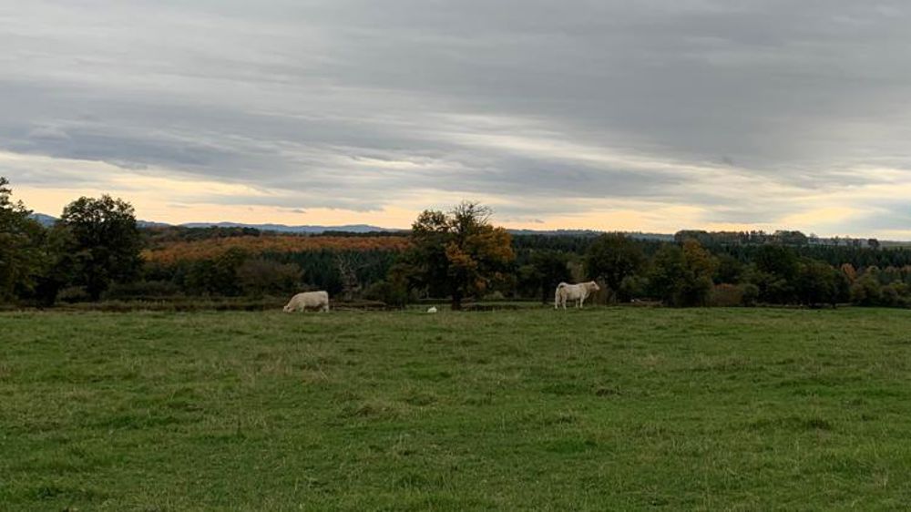 En octobre, première vague de froid