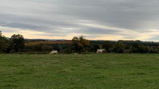En octobre, première vague de froid En octobre, première vague de froid