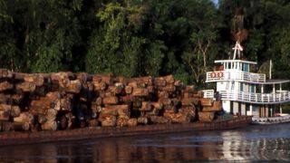 Santé et biodiversité, même combat pour l’IPBES Santé et biodiversité, même combat pour l’IPBES
