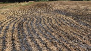 Les agriculteurs ne digèrent pas la nouvelle norme Les agriculteurs ne digèrent pas la nouvelle norme