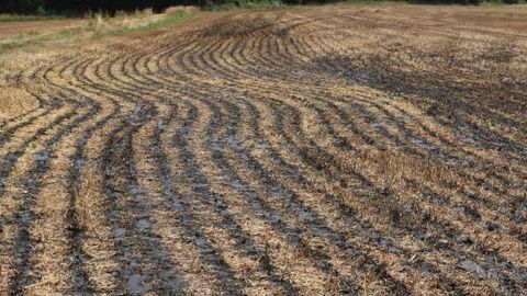 Les agriculteurs ne digèrent pas la nouvelle norme Les agriculteurs ne digèrent pas la nouvelle norme