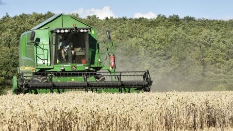 Les blés français tiennent bon Les blés français tiennent bon