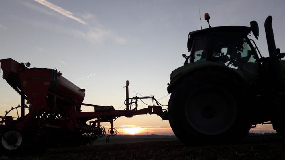 Les semis de blé dur en avance de 10 jours