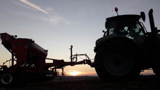 Les semis de blé dur en avance de 10 jours Les semis de blé dur en avance de 10 jours
