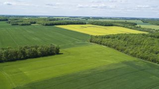 Le crédit d’impôt glyphosate, un « gaspillage » pour la Coordination rurale Le crédit d’impôt glyphosate, un « gaspillage » pour la Coordination rurale
