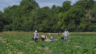 Légumes de France présente son livre blanc Légumes de France présente son livre blanc