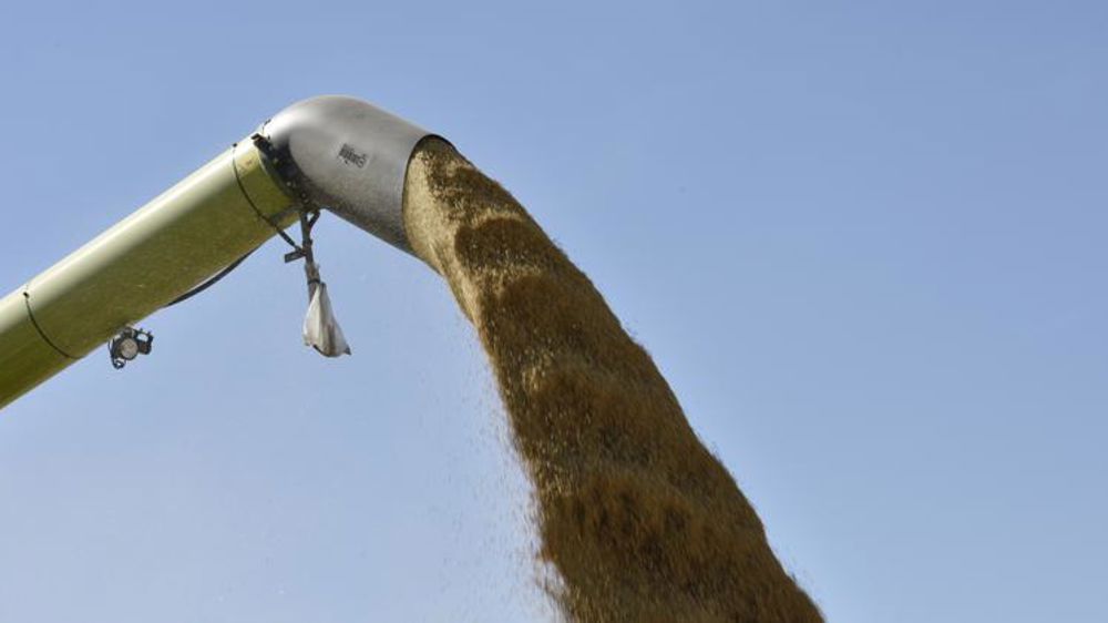 Un peu plus haut encore en blé et orge