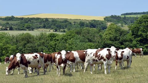 La FNSEA veut rémunérer les services environnementaux de l’élevage La FNSEA veut rémunérer les services environnementaux de l’élevage