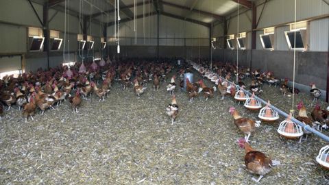La coopération agricole demande aux distributeurs de « prendre leur part » La coopération agricole demande aux distributeurs de « prendre leur part »