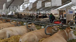 Le Sommet de l’élevage durera quatre jours en 2021 Le Sommet de l’élevage durera quatre jours en 2021