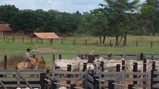 Le gouvernement ne ferme pas vraiment la porte au Mercosur Le gouvernement ne ferme pas vraiment la porte au Mercosur