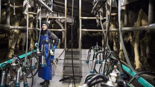 Pour la FNPL, « une baisse du prix du lait en 2021 serait une provocation » Pour la FNPL, « une baisse du prix du lait en 2021 serait une provocation »