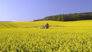 Des tumeurs cérébrales peu à peu reconnues maladie professionnelle Des tumeurs cérébrales peu à peu reconnues maladie professionnelle