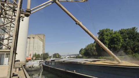 Les prix du blé et du maïs chutent Les prix du blé et du maïs chutent